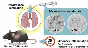 Effects of advanced nanomaterials on the respiratory system of a murine COPD model