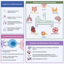 Immune Checkpoint Inhibitors Therapy as the Game-Changing Approach for Pediatric Lymphoma: A Brief Landscape