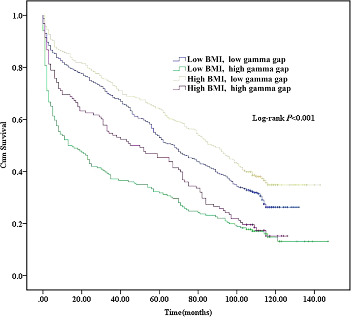 A synergistic impact of body mass index and gamma gap on heart failure and mortality rate among older patients with coronary artery disease: a prospective study with 10-year follow-up