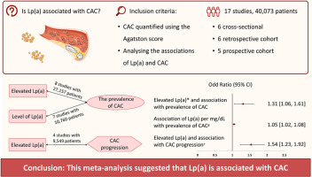 The association of lipoprotein (a) with coronary artery calcification: A systematic review and meta-analysis