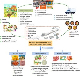 Innovations and challenges in the production of prepared dishes based on central kitchen engineering: A review and future perspectives