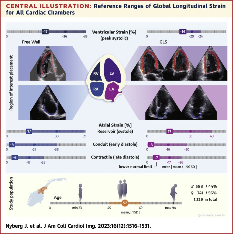 Echocardiographic Reference Ranges of Global Longitudinal Strain for All Cardiac Chambers Using Guideline-Directed Dedicated Views