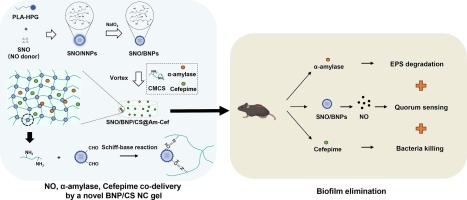 A nanocomposite hydrogel for co-delivery of multiple anti-biofilm therapeutics to enhance the treatment of bacterial biofilm-related infections