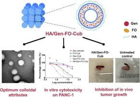 Targeted delivery of genistein for pancreatic cancer treatment using hyaluronic-coated cubosomes bioactivated with frankincense oil