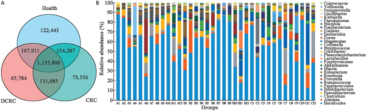Metagenomic and targeted metabolomic analyses reveal distinct phenotypes of the gut microbiota in patients with colorectal cancer and type 2 diabetes mellitus