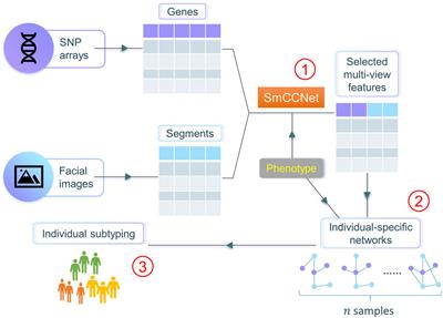 netMUG: a novel network-guided multi-view clustering workflow for dissecting genetic and facial heterogeneity