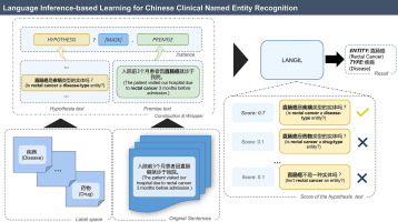 Language Inference-based Learning for Low-Resource Chinese Clinical Named Entity Recognition Using Language Model