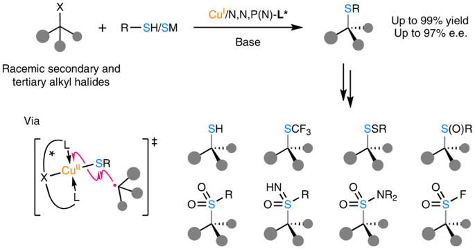A general copper-catalysed enantioconvergent C(sp3)–S cross-coupling via biomimetic radical homolytic substitution