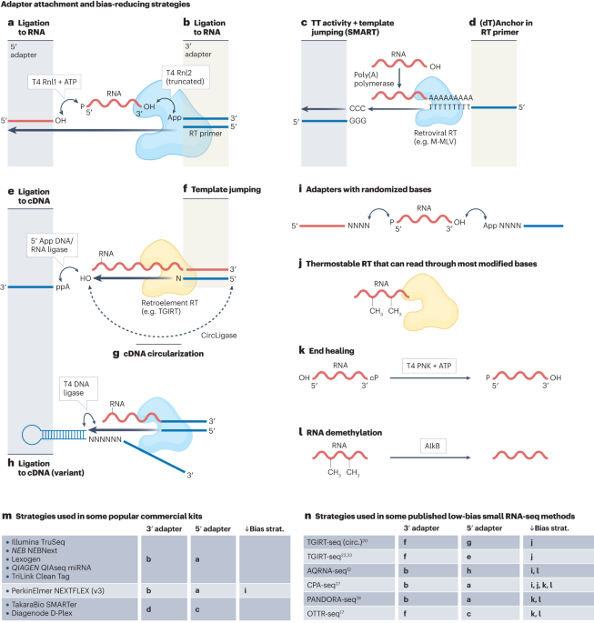 Small RNA structural biochemistry in a post-sequencing era