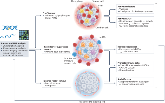 Immunotherapy combination approaches: mechanisms, biomarkers and clinical observations