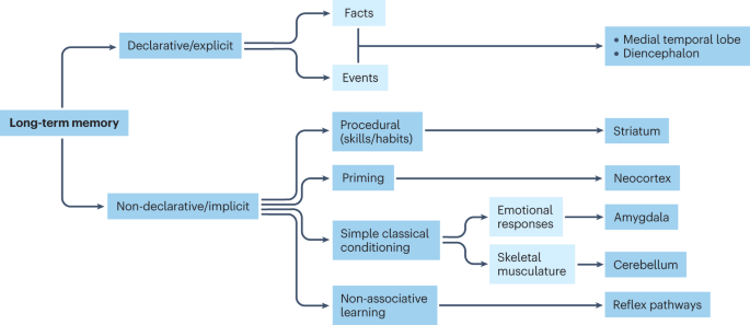 A multiple hits hypothesis for memory dysfunction in Parkinson disease