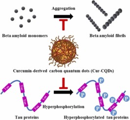 Curcumin-derived carbon quantum dots: Dual actions in mitigating tau hyperphosphorylation and amyloid beta aggregation