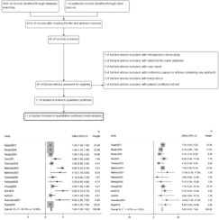 Benefits and risks of PD-1/PD-L1 inhibitors for recurrent small cell lung cancer: A systematic review and meta-analysis