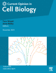 Cell cycle control by cell-matrix interactions