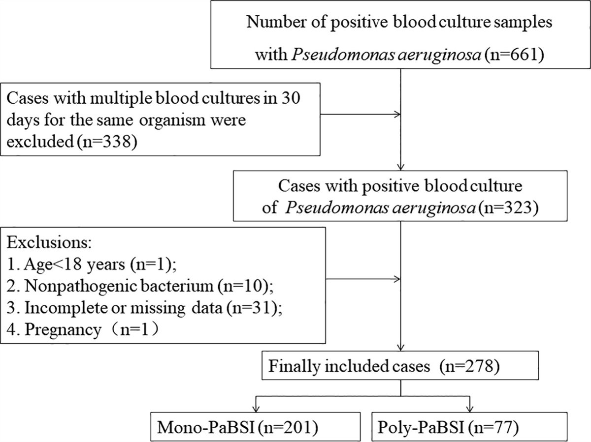 Clinical characteristics, risk factors, and outcomes of patients with polymicrobial Pseudomonas aeruginosa bloodstream infections