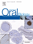 The effect of a soft diet on molar dentin formation during the occlusal establishment period
