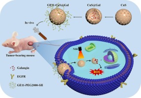 Near-infrared-responsive GE11-CuS@Gal nanoparticles as an intelligent drug release system for targeting therapy against oral squamous cell carcinoma