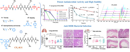 Novel antimicrobial peptides modified with fluorinated sulfono-γ-AA having high stability and targeting multidrug-resistant bacteria infections