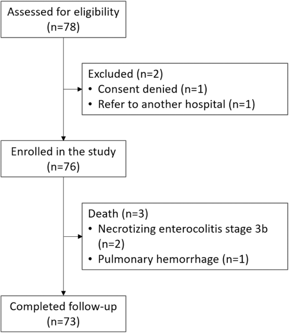 Hyperferritinemia among very-low-birthweight infants in Thailand: a prospective cohort study