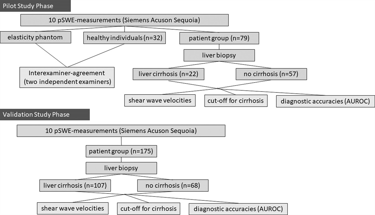 Determination and prospective validation of cut-off values for the diagnosis of liver cirrhosis for point shear-wave elastography/acoustic radiation force impulse imaging using the ACUSON Sequoia ultrasound system