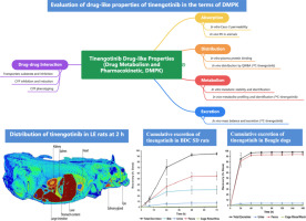 In vitro and in vivo pharmacokinetics, disposition, and drug-drug interaction potential of tinengotinib (TT-00420), a promising investigational drug for treatment of cholangiocarcinoma and other solid tumors
