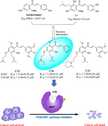 Design, synthesis and bioevaluation of novel prenylated chalcones derivatives as potential antitumor agents