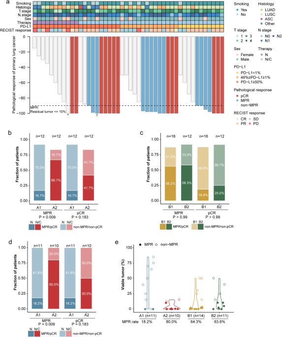 Neoadjuvant nivolumab with or without platinum-doublet chemotherapy based on PD-L1 expression in resectable NSCLC (CTONG1804): a multicenter open-label phase II study