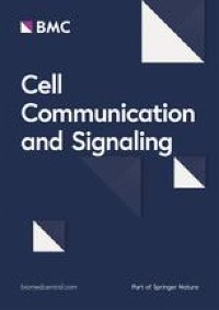 Applications of lung cancer organoids in precision medicine: from bench to bedside