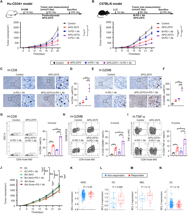 The BCL-2 inhibitor APG-2575 resets tumor-associated macrophages toward the M1 phenotype, promoting a favorable response to anti-PD-1 therapy via NLRP3 activation