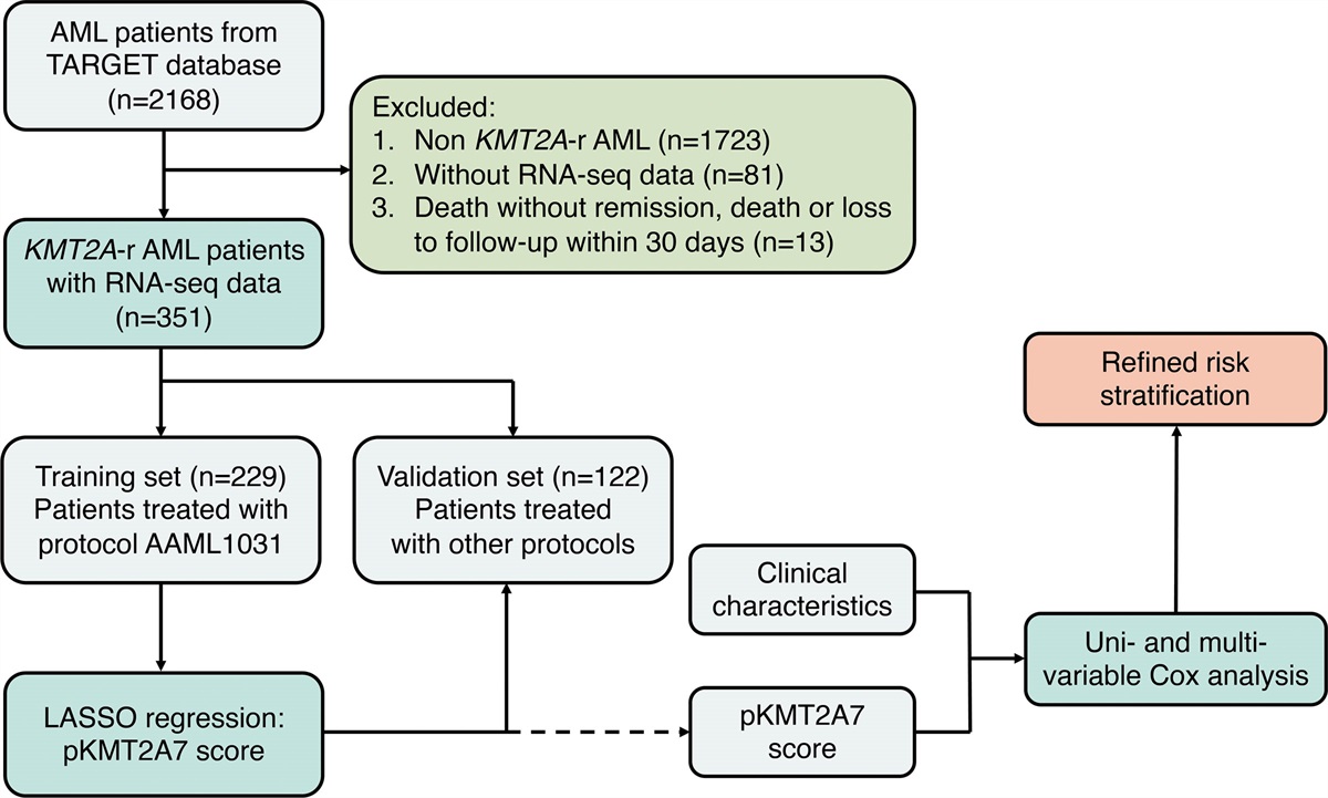 Integration of Transcriptomic Features to Improve Prognosis Prediction of Pediatric Acute Myeloid Leukemia With KMT2A Rearrangement