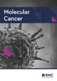 Effects of RNA methylation on Tumor angiogenesis and cancer progression