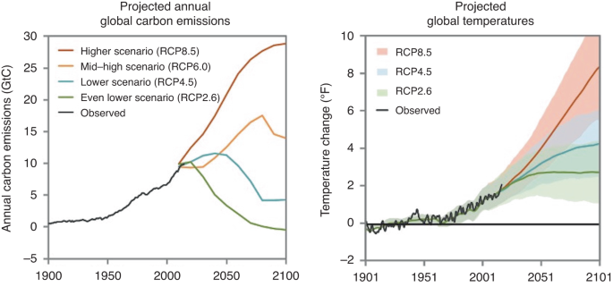 The impact of anthropogenic climate change on pediatric viral diseases