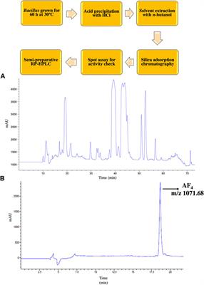 The elucidation of the multimodal action of the investigational anti-Candida lipopeptide (AF4) lead from Bacillus subtilis