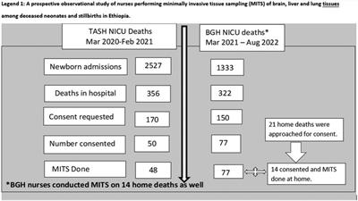 A prospective observational study of nurses performing minimally invasive tissue sampling of brain, liver, and lung tissues among deceased neonates and stillbirths in Ethiopia