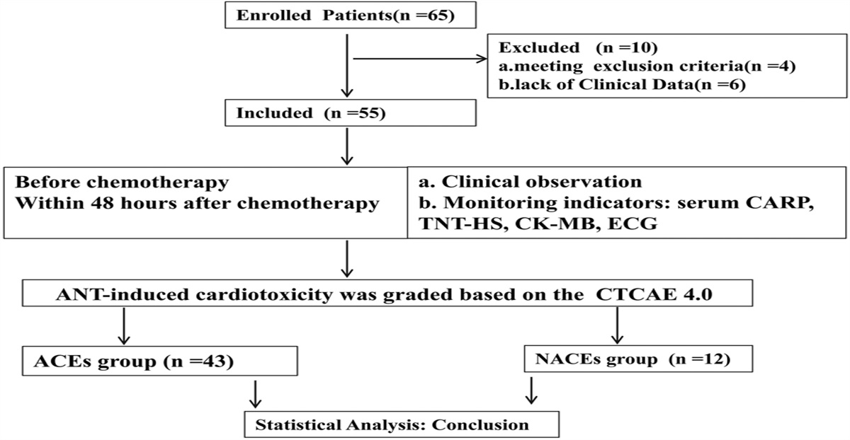 Potential Biomarker of Acute Anthracycline-induced Cardiotoxicity Among Children With Acute Lymphoblastic Leukemia: Cardiac Adriamycin-responsive Protein