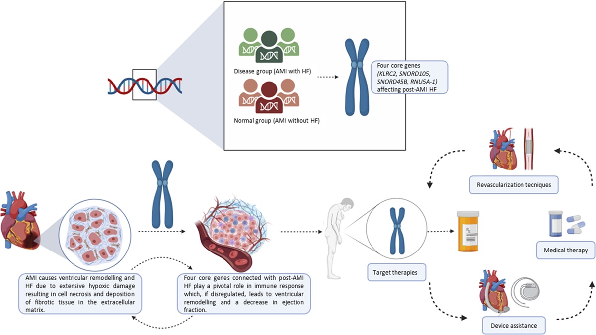 Molecular Insights on Ischemic Heart Failure: From Core Genes to Hearts
