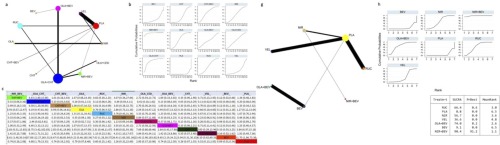 The impact of PARP inhibitors in the whole scenario of Ovarian Cancer management: a Systematic Review and Network Meta-Analysis