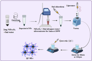 A novel quercetin-loaded NiFe2O4@Liposomes hybrid biocompatible as a potential chemotherapy/hyperthermia agent and cytotoxic effects on breast cancer cells