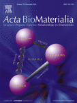 Corrigendum to “ECM-based bioactive microencapsulation significantly improves islet function and graft performance” [Acta Biomaterialia. Volume 171, November 2023, Pages 249-260]