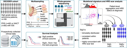 HRD related signature 3 predicts clinical outcome in advanced tubo-ovarian high-grade serous carcinoma