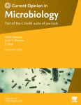 Multilayered regulation of amino acid metabolism in Escherichia coli