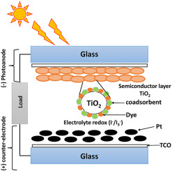 Exploiting the role of coadsorbents on photovoltaic performances of dye sensitized solar cells: A DFT study