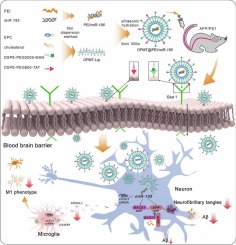 MicroRNA-195 liposomes for therapy of Alzheimer's disease