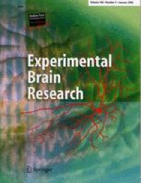 Effects of exercise-targeted hippocampal PDE-4 methylation on synaptic plasticity and spatial learning/memory impairments in D-galactose-induced aging rats