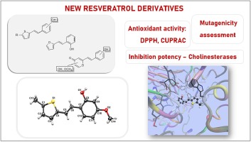 New resveratrol analogs as improved biologically active structures: Design, synthesis and computational modeling