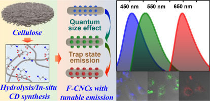 Facile preparation, optical mechanism elaboration, and bio-imaging application of fluorescent cellulose nanocrystals with tunable emission wavelength