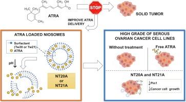 pH-sensitive niosomes for ATRA delivery: A promising approach to inhibit Pin1 in high-grade serous ovarian cancer