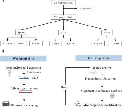 Clinical utility of metagenomic next-generation sequencing in pathogen detection for lower respiratory tract infections and impact on clinical outcomes in southernmost China