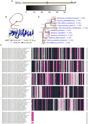API5-Hsp20 axis regulate apoptosis and viral infection in mud crab (Scylla paramamosain)