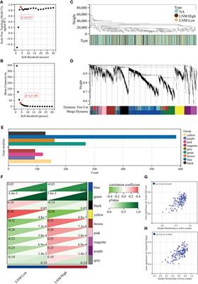 Exploration and validation of key genes associated with early lymph node metastasis in thyroid carcinoma using weighted gene co-expression network analysis and machine learning